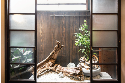 room_photo