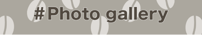 photo gallery